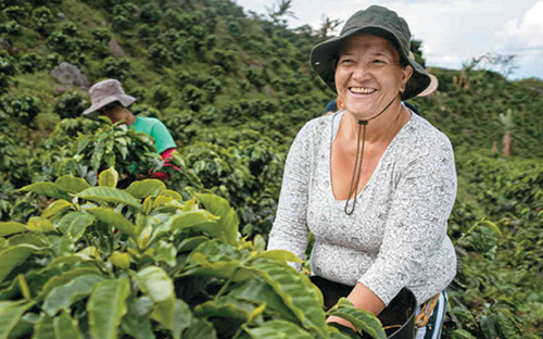 ¿Cómo el cambio climático perjudica a las mujeres?